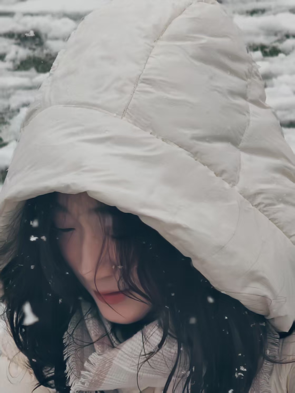 陈一菲